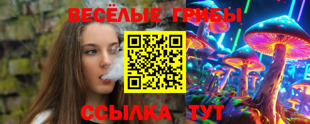 Галлюциногенные грибы Psilocybe  Вход с VPN  Псилоцибиновые грибы Magic Shrooms  Томск 