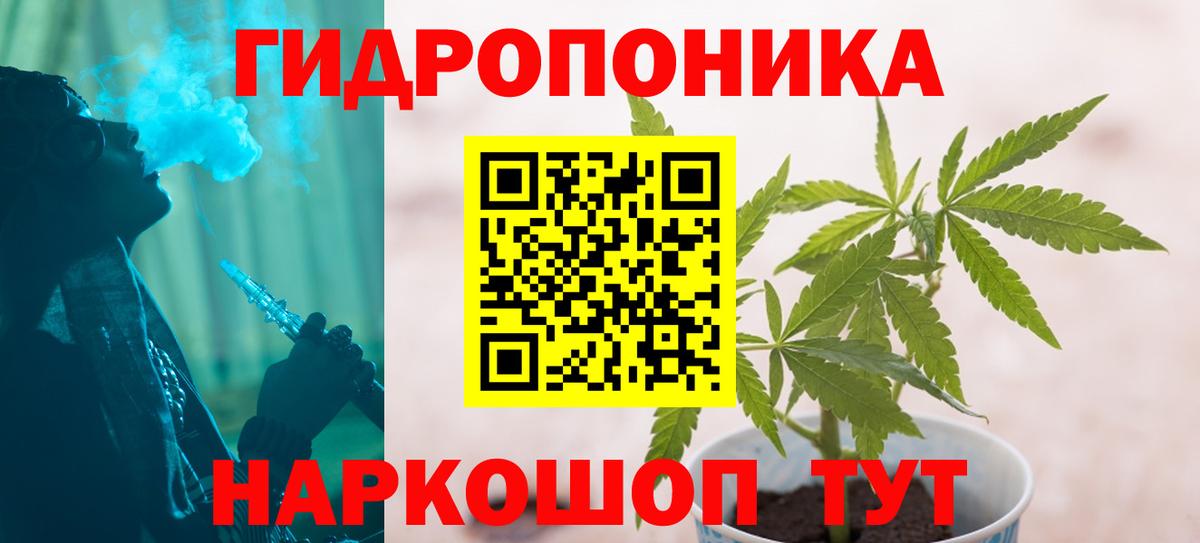 Бошки Шишки OG Kush Томск